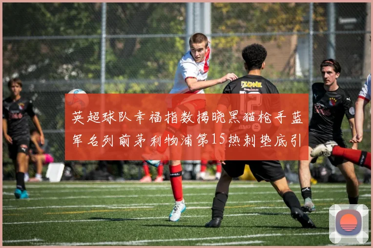 英超球队幸福指数揭晓黑猫枪手蓝军名列前茅利物浦第15热刺垫底引关注