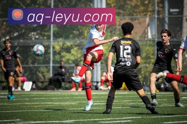 乐鱼体育平台生态图